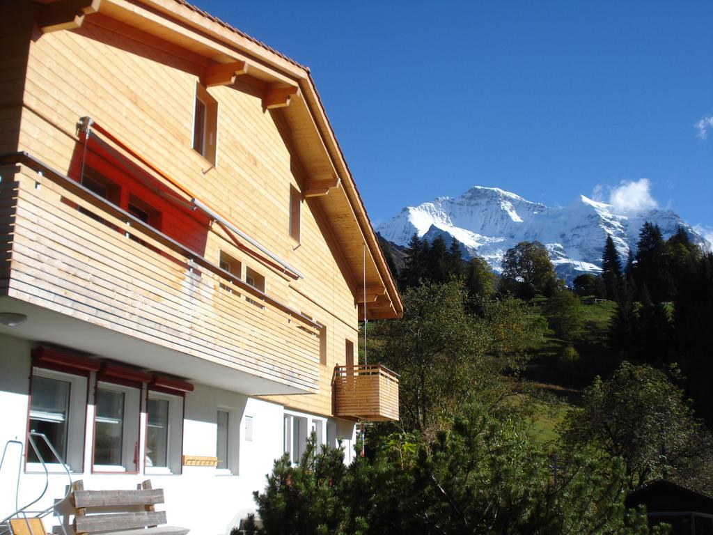 Апартаменти Chalet Viola Венген Екстер'єр фото